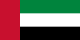 UAE (Dubai) flag